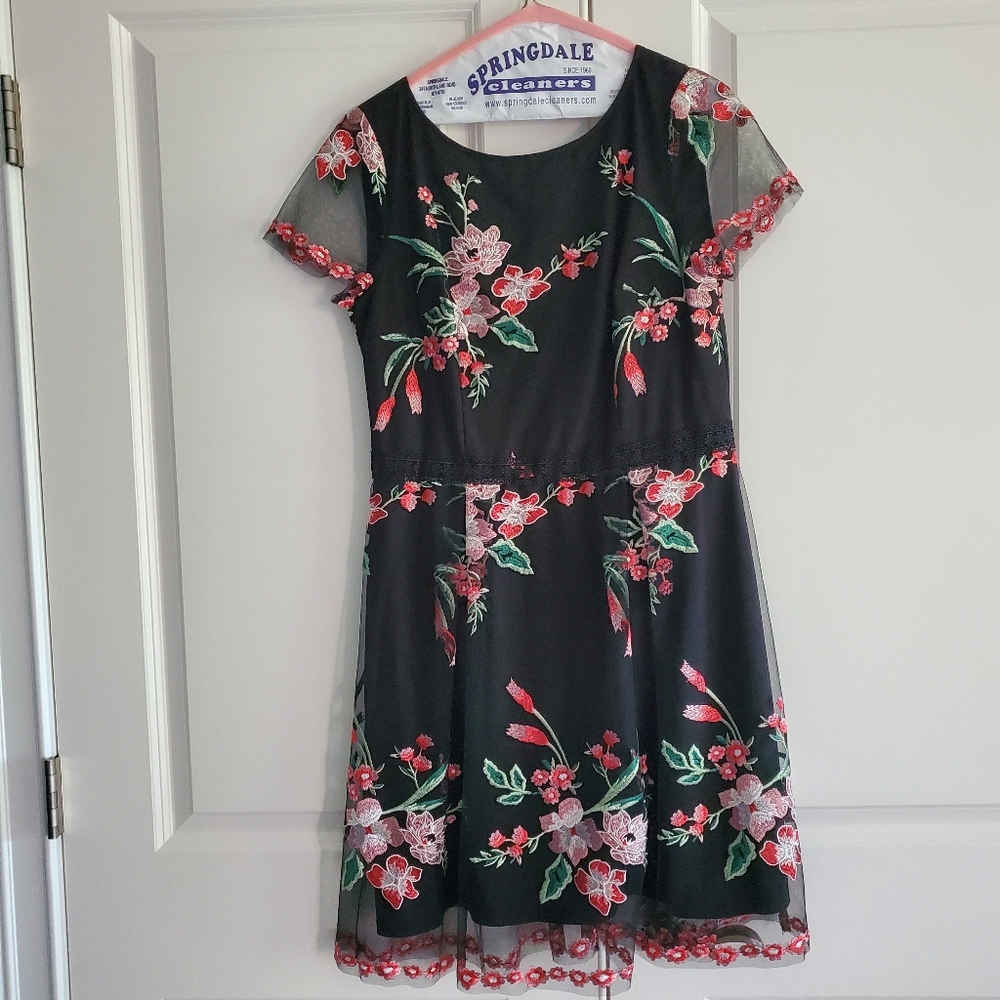Adrianna Papell Coctail Black Dress Red Pink Green Floral Embroidery, Size 10